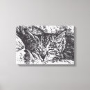 Zoek naar katten tekening canvas prints Dier