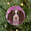 Recherche de épagneul springer anglais maison deco Noël