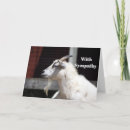 Zoek naar profiel kaarten Foto