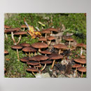 Recherche de bois brun posters Pour elle