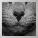 Recherche de nez art Vintage