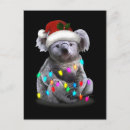 Recherche de koala noël cartes postales Animal