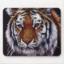Recherche de chats exotiques tapis souris Faune