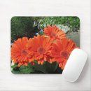 Recherche de gerbera électronique Nature