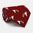 Recherche de saint bernard accessoires Chien