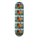 Recherche de amoureux skateboards Amoureux des oiseaux