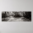 Recherche de gravier posters Forêt