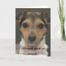 Recherche de rat vœux cartes Terrier