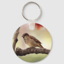 Recherche de moineau accessoires Photographie