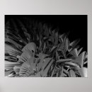 Zoek naar knopen kunst Zwart