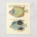 Recherche de poissons colorés cartes postales Vintage
