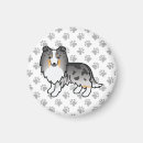 Recherche de merles magnets Étagère