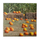 Recherche de foin carreaux Automne