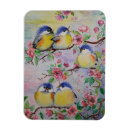 Recherche de moineau magnets Aquarelle