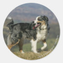 Recherche de panne autocollants Bob et pam langrish