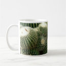 Recherche de cactus de baril Sud ouest