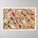 Recherche de périodique posters Vintage