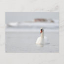 Recherche de muet cartes postales Xmas