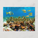 Recherche de les barbade cartes postales Voyage