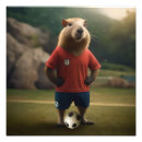 Zoek naar voetballers posters Speler
