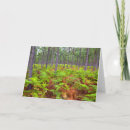 Recherche de cap vert cartes postales Province du cap oriental