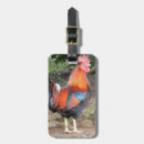 Recherche de coq bagages étiquettes Volaille