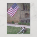 Zoek naar pit briefkaarten Bull