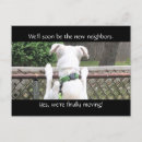 Recherche de chiot de labrador cartes postales Pour tous