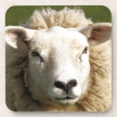 Recherche de agriculture dessous de verres Fermes