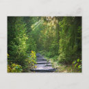 Recherche de chemin forestier cartes postales Randonnée