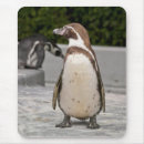 Recherche de manchot tapis souris Nature