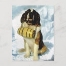 Recherche de st bernard cartes postales Vintage
