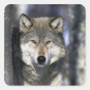 Recherche de canis autocollants Gris