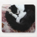 Recherche de tuxedo tapis souris Chats