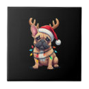 Recherche de bouledogue carreaux Amoureux des chiens
