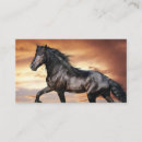 Recherche de beau cheval cartes visite Animal