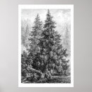 Recherche de paysage vintage posters Botanique