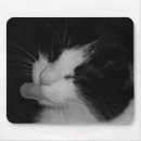 Recherche de idiotes tapis souris Chat
