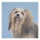 Zoek naar havanezer posters Havanees