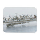 Recherche de cannelure magnets Musique