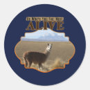 Zoek naar zwervers stickers Reis