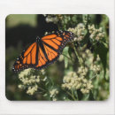 Recherche de papillon noir tapis souris Orange