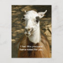 Recherche de lamas cartes postales Drôle