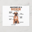 Recherche de chien boxer cartes postales Boxeur