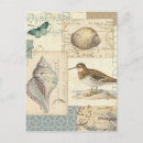 Recherche de coquillages cartes postales Littoral