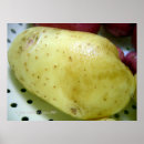 Recherche de yukon posters Nourriture