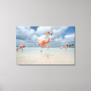 Recherche de oiseaux de mer toiles Plage