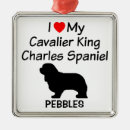 Recherche de cavalier king charles ornements Dog