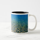 Recherche de révélations tasses Coloré
