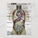 Recherche de organe interne posters Vintage